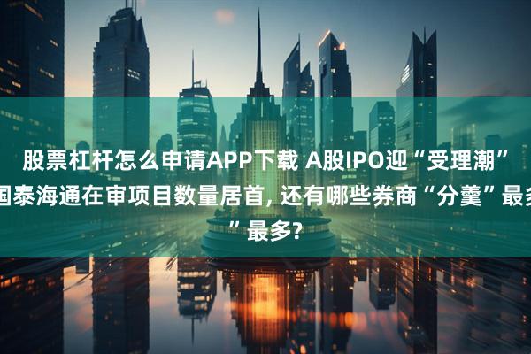 股票杠杆怎么申请APP下载 A股IPO迎“受理潮”: 国泰海通在审项目数量居首, 还有哪些券商“分羹”最多?