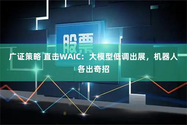 广证策略 直击WAIC:大模型低调出展,机器人各出奇招